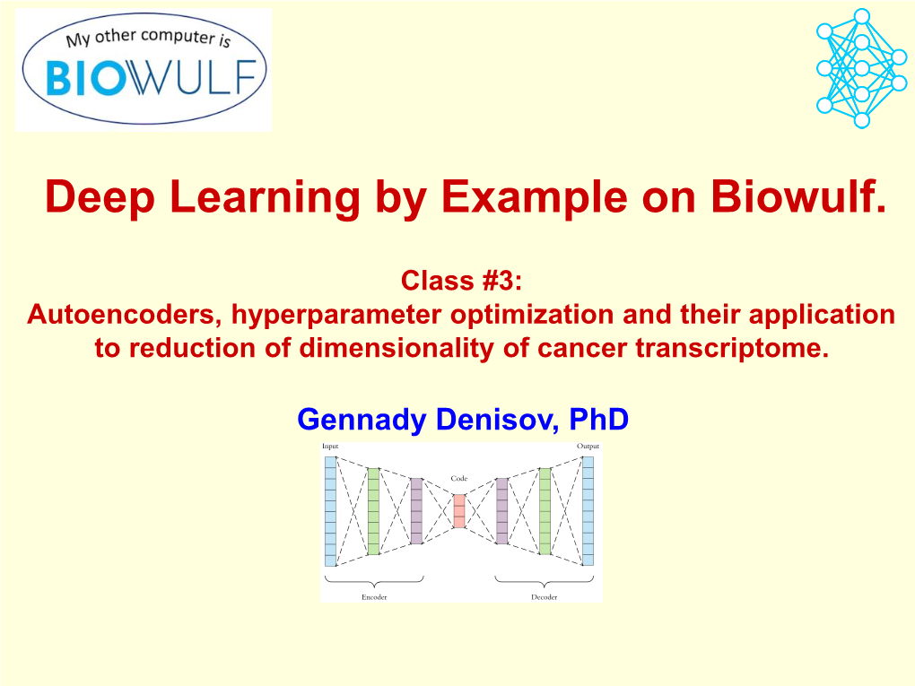 Deep Learning by Example on Biowulf