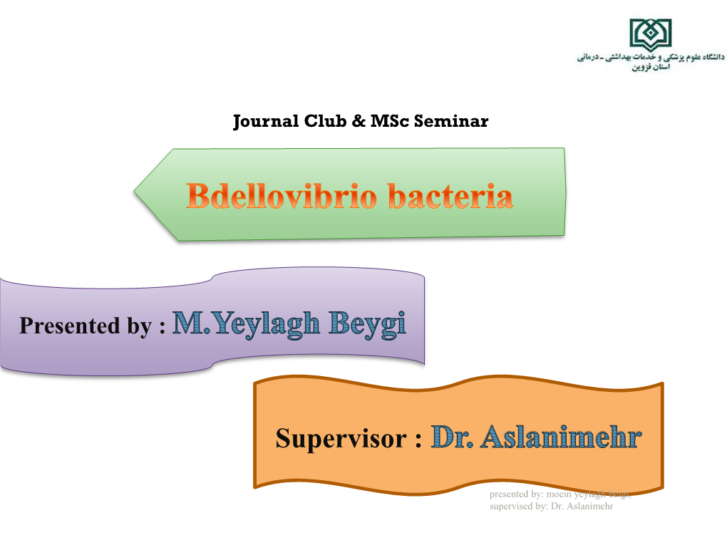 Bdellovibrio Bacteriovorus