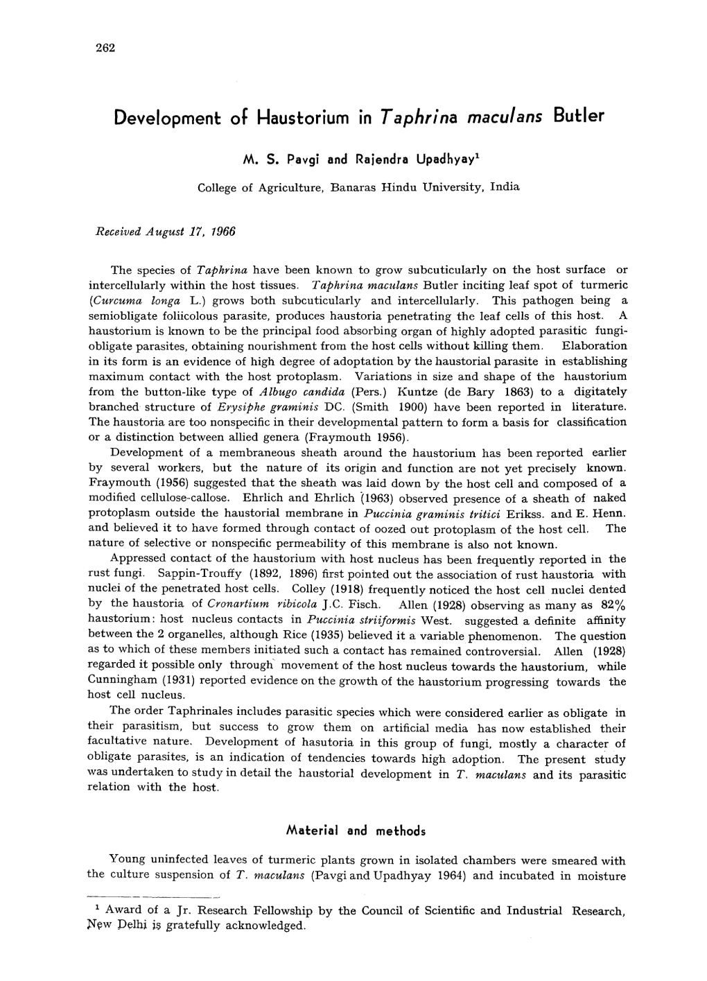 Development of Haustorium in Taphrina Maculans Butler