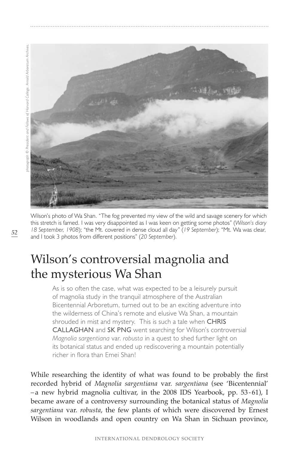 Wilson's Controversial Magnolia and the Mysterious Wa Shan