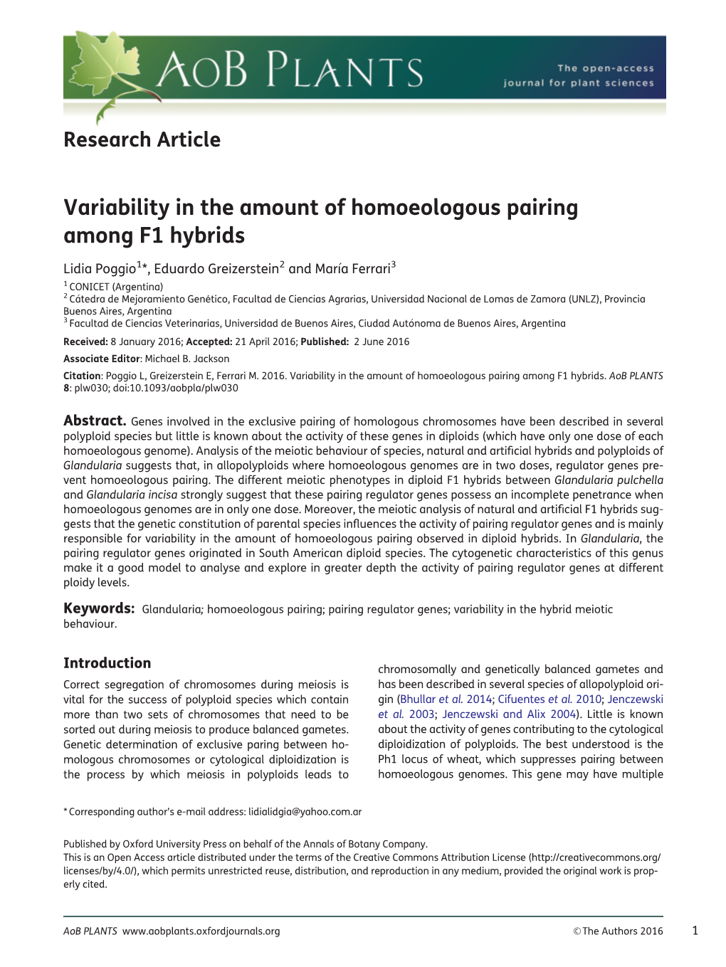 Variability in the Amount of Homoeologous Pairing Among F1 Hybrids