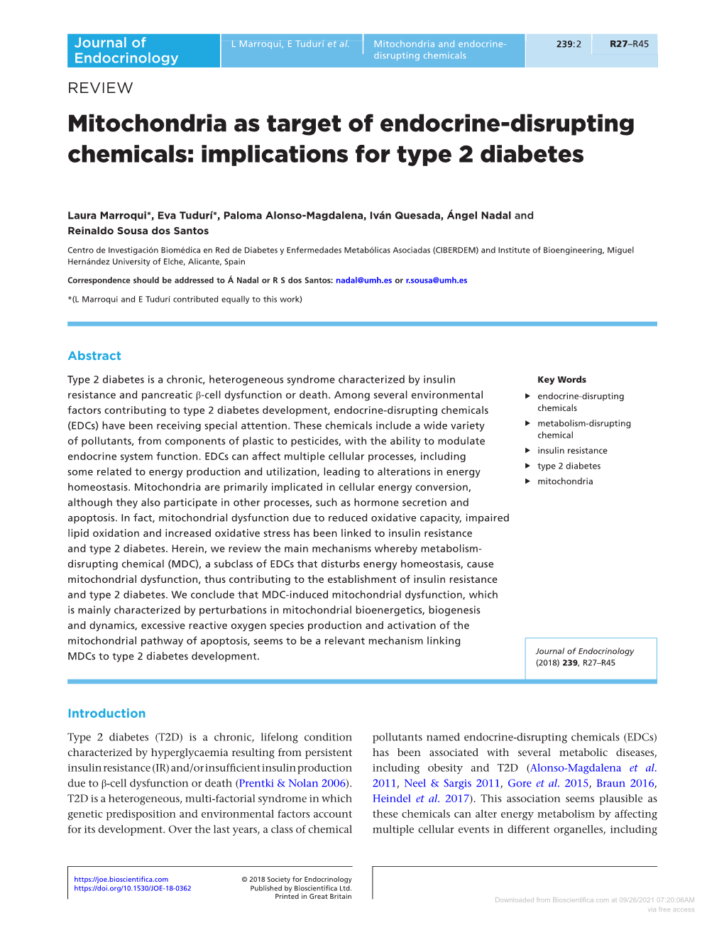 Mitochondria As Target of Endocrine-Disrupting Chemicals: Implications for Type 2 Diabetes