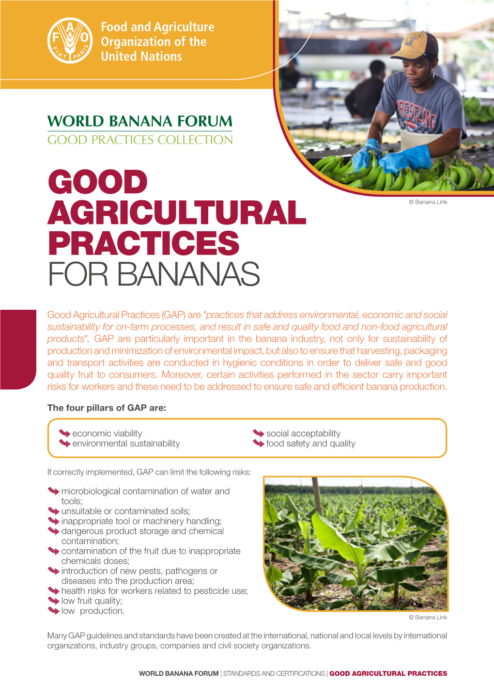 Good Agricultural Practices for Bananas