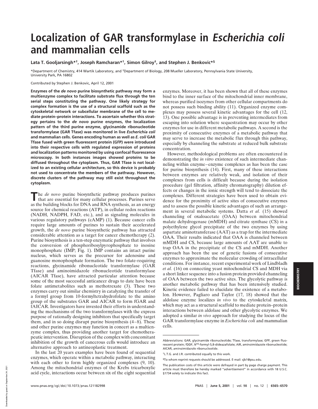 Localization of GAR Transformylase in Escherichia Coli and Mammalian Cells
