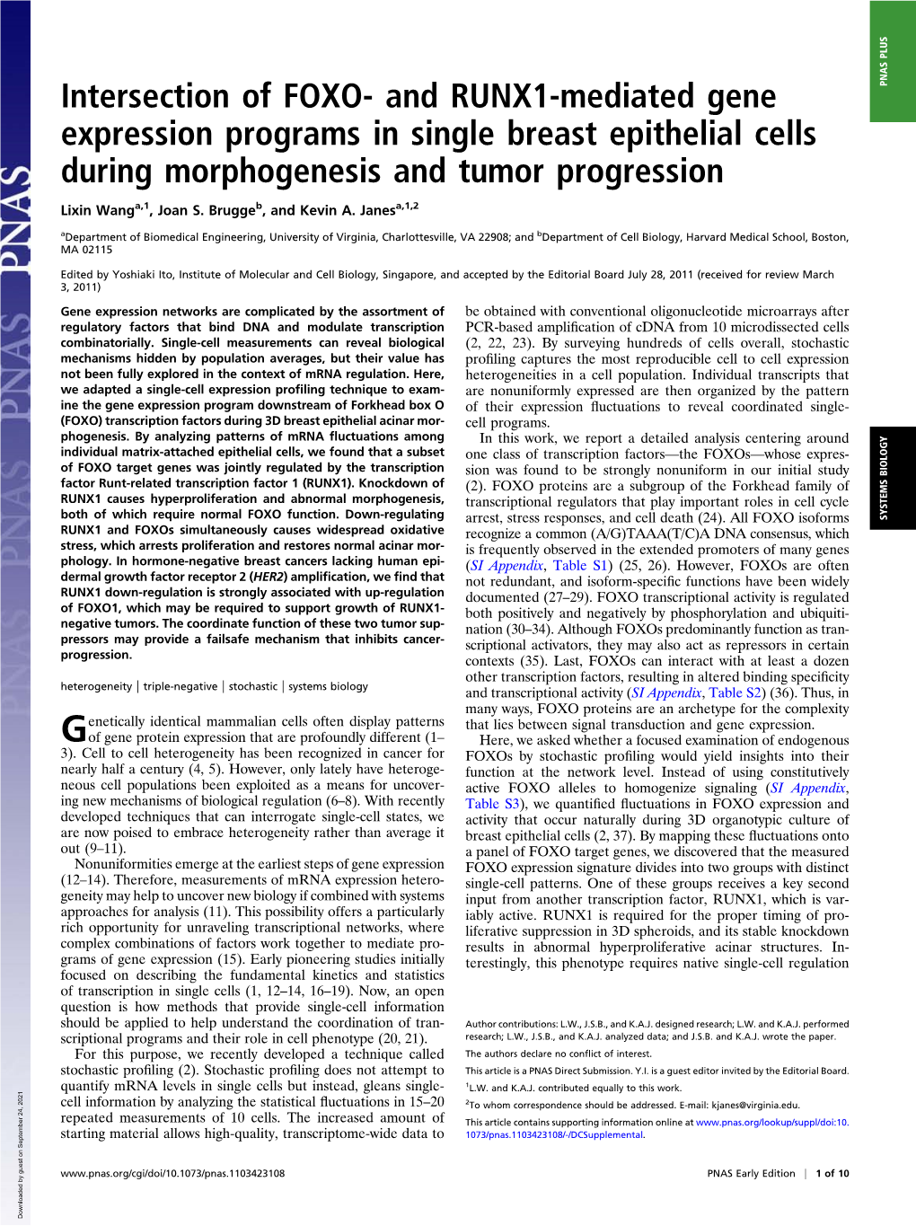 Intersection of FOXO- and RUNX1-Mediated Gene PNAS PLUS Expression Programs in Single Breast Epithelial Cells During Morphogenesis and Tumor Progression