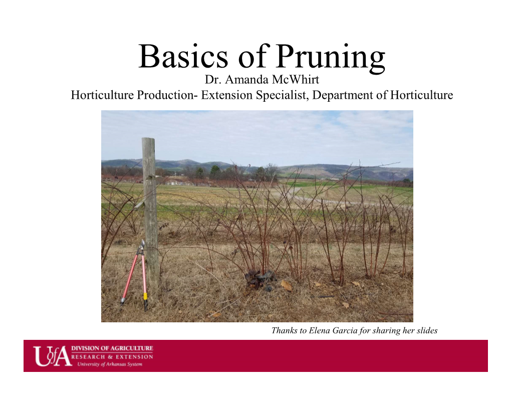 Basics of Pruning Dr