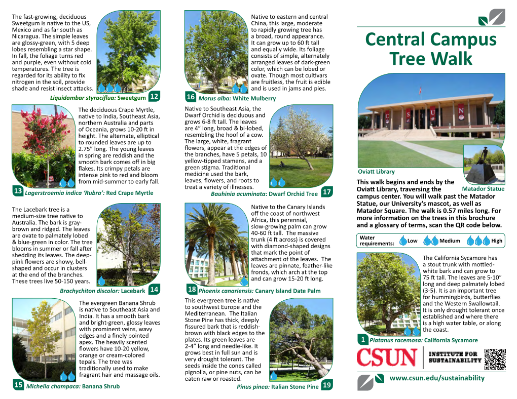 Central Campus Tree Walk (PDF)
