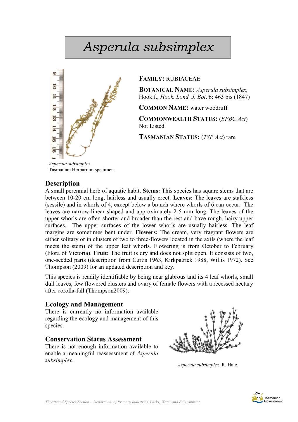 Asperula Subsimplex