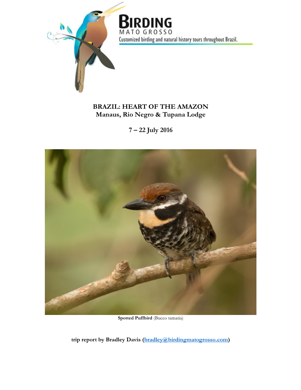 BRAZIL: HEART of the AMAZON Manaus, Rio Negro & Tupana Lodge 7 – 22 July 2016