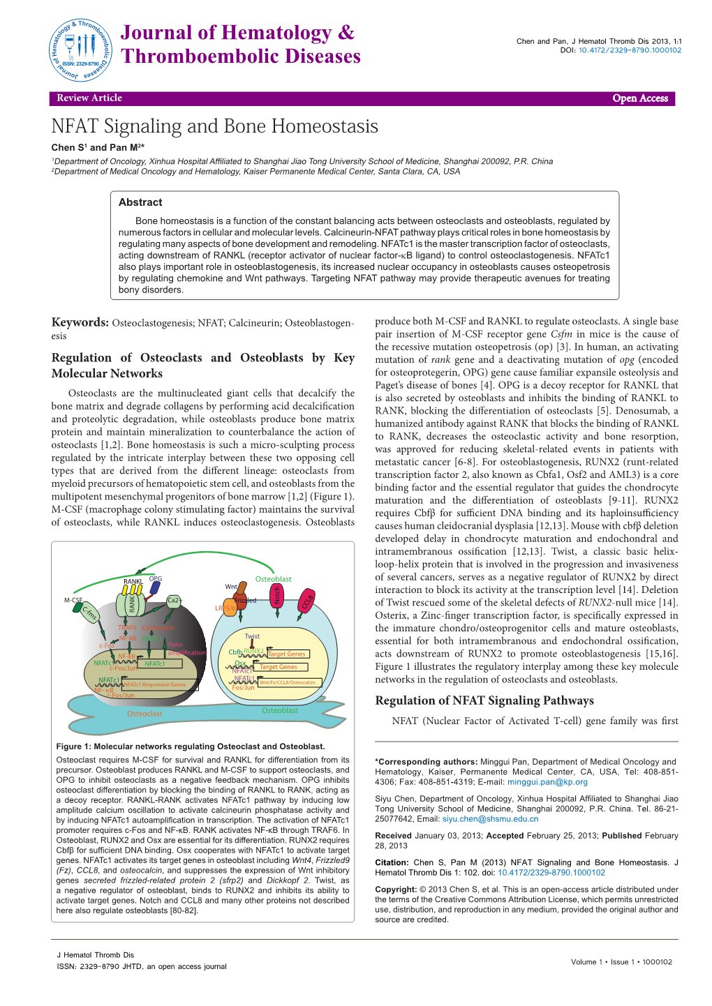 NFAT Signaling and Bone Homeostasis