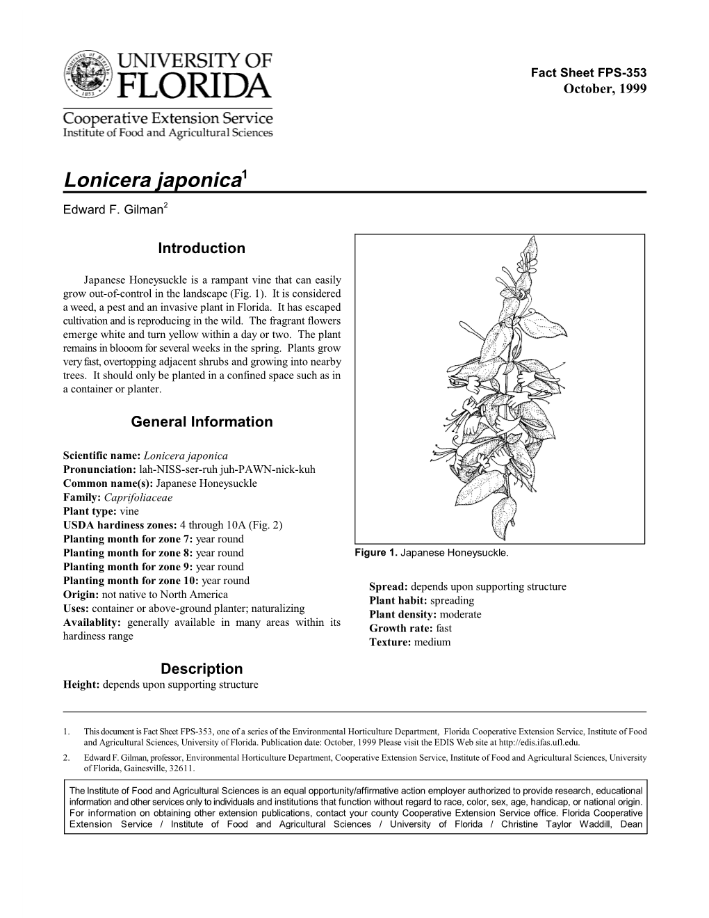 Lonicera Japonica1