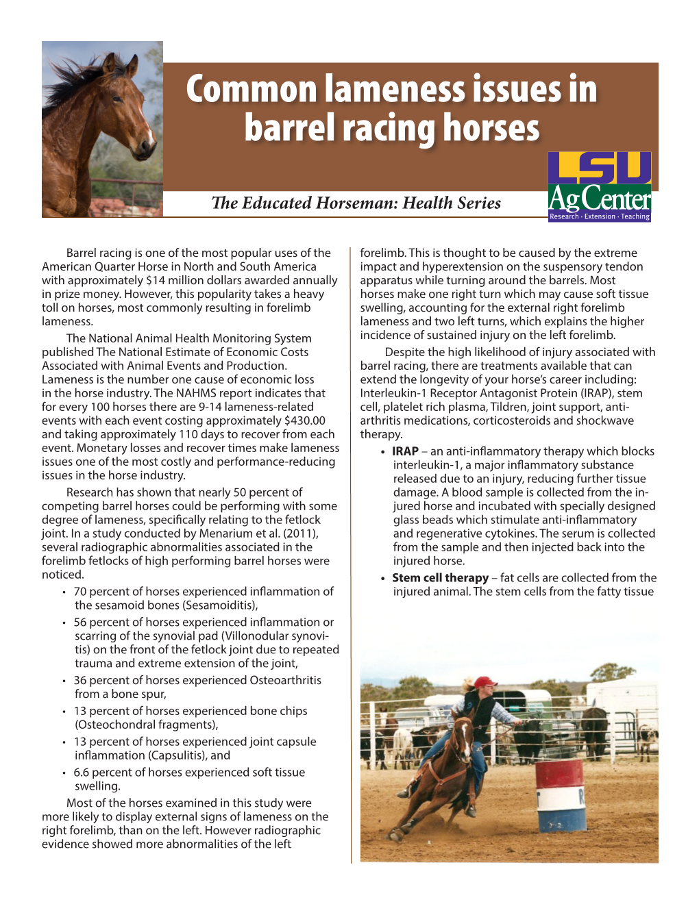 Common Lameness Issues in Barrel Racing Horses