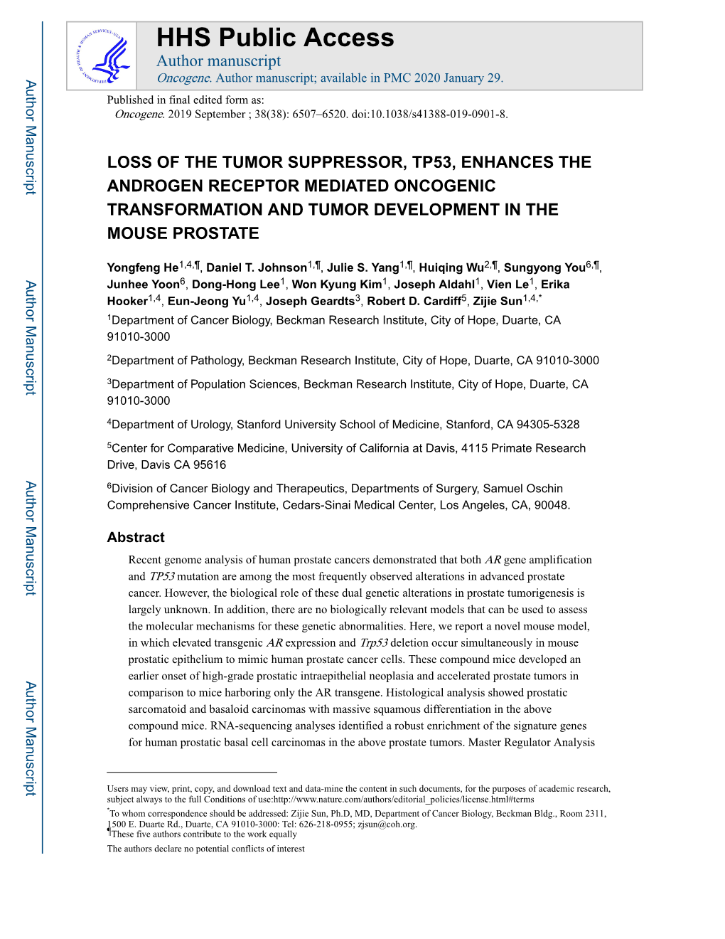 Loss of the Tumor Suppressor, Tp53, Enhances the Androgen Receptor Mediated Oncogenic Transformation and Tumor Development in the Mouse Prostate