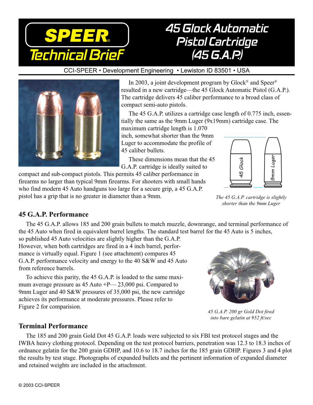 45 GAP Technical Brief