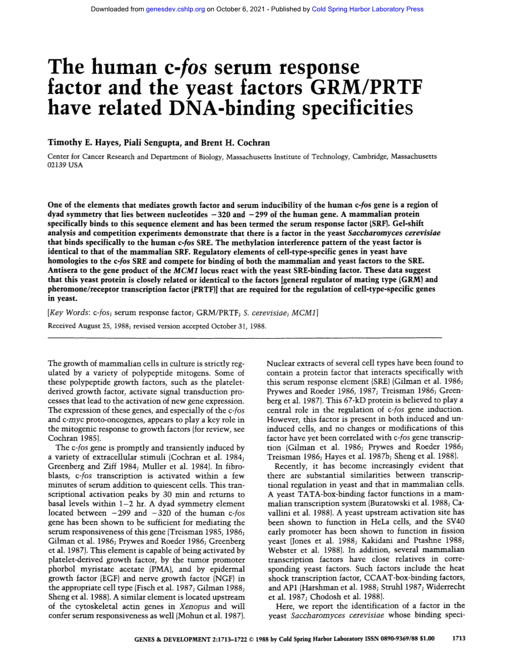 The Human C-Fos Serum Response Factor and the Yeast Factors GRM/PRTF Have Related DNA-Binding Specificities