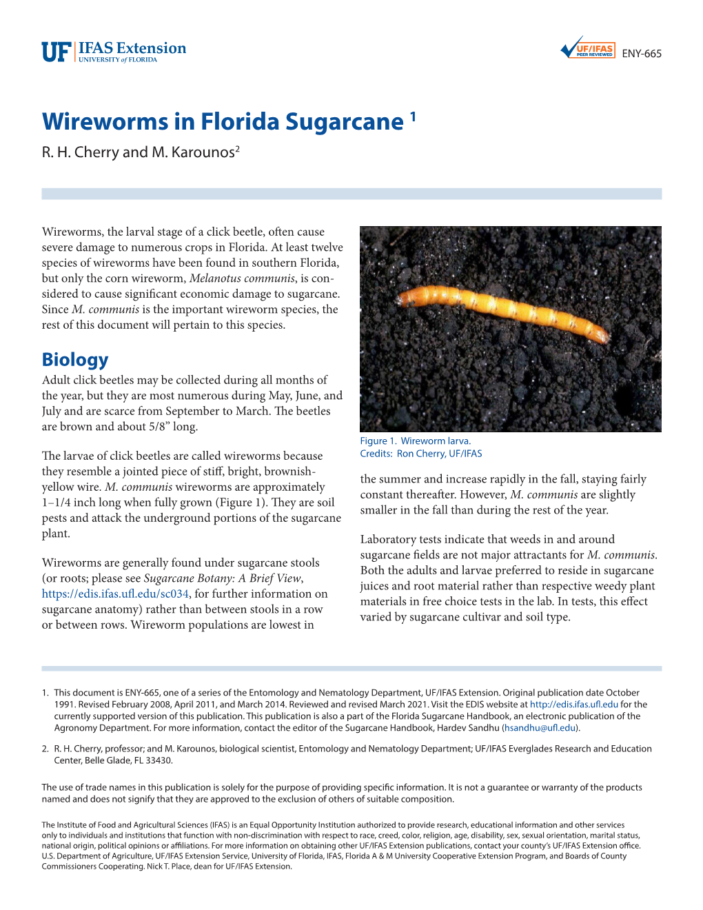 Wireworms in Florida Sugarcane 1 R