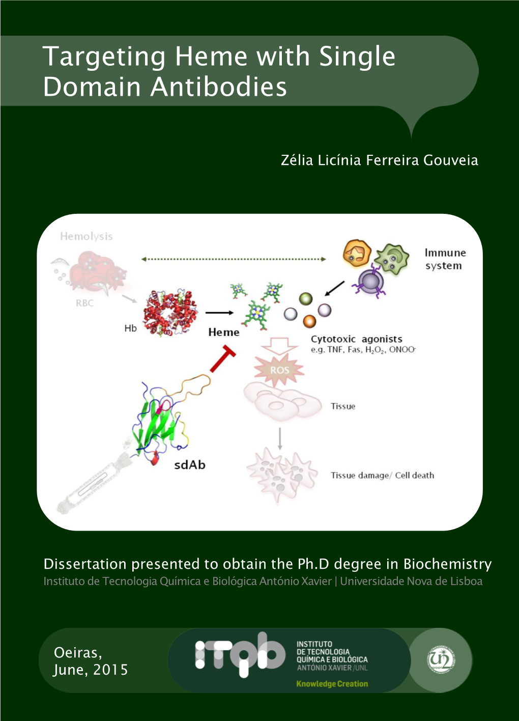 Targeting Heme with Single Domain Antibodies