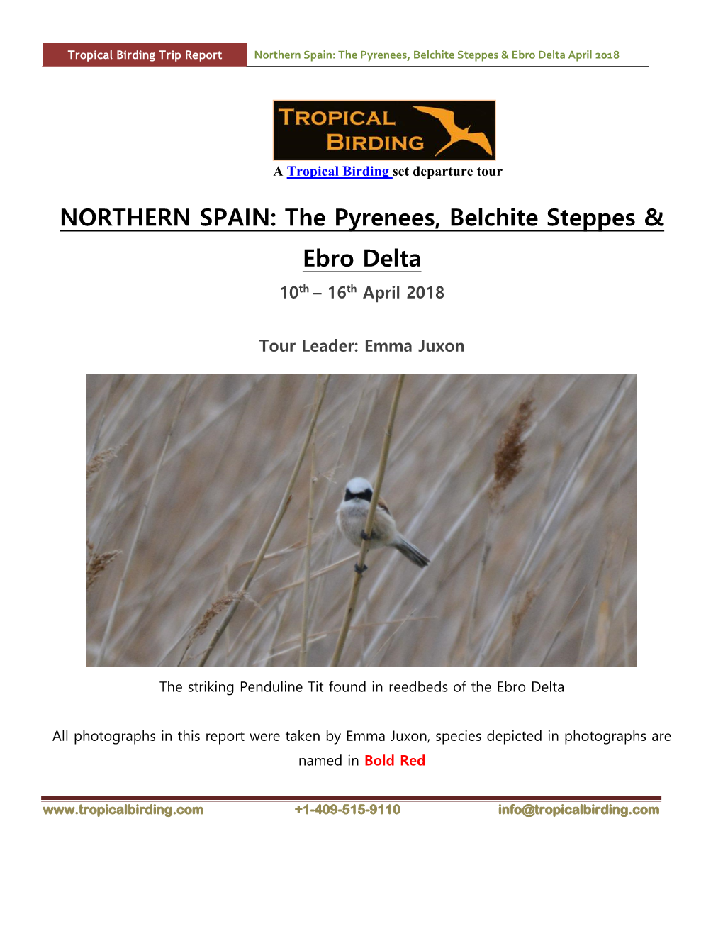 NORTHERN SPAIN: the Pyrenees, Belchite Steppes & Ebro Delta