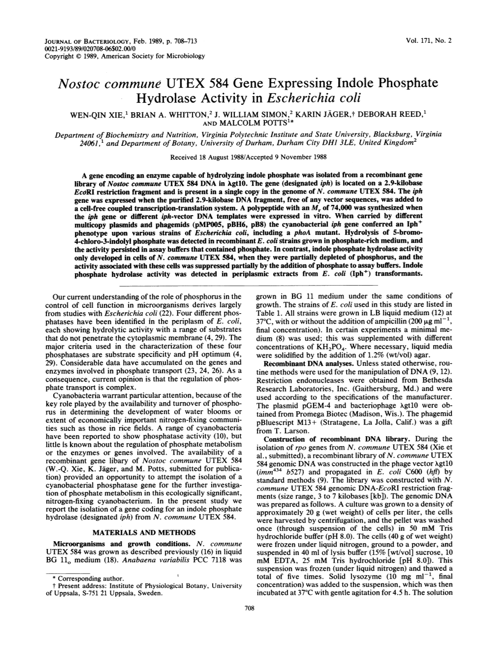 Nostoc Commune UTEX 584 Gene Expressing Indole Phosphate Hydrolase Activity in Escherichia Coli