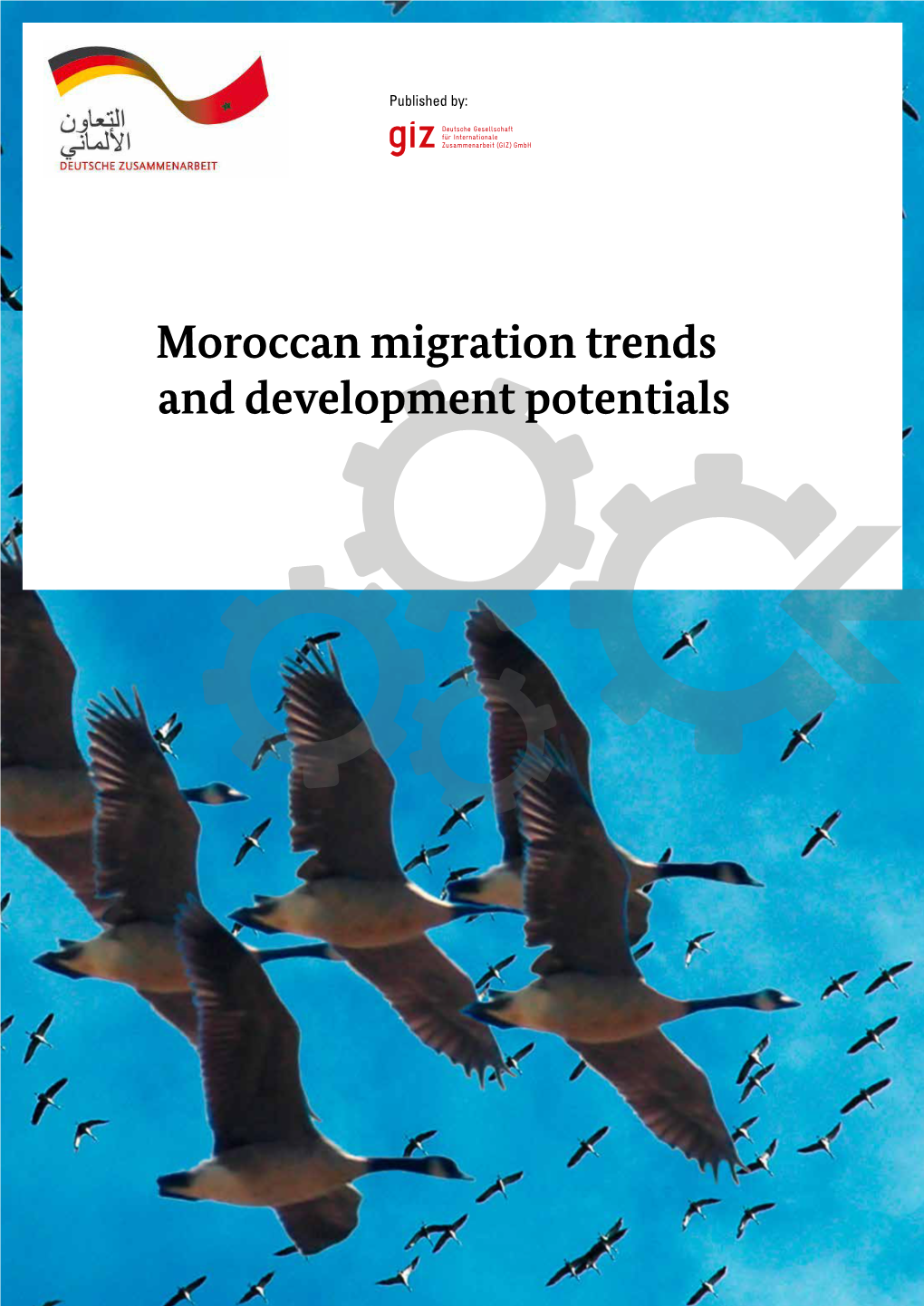 Moroccan Migration Trends and Development Potentials