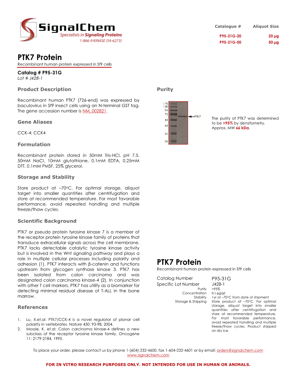 PTK7 Protein PTK7 Protein