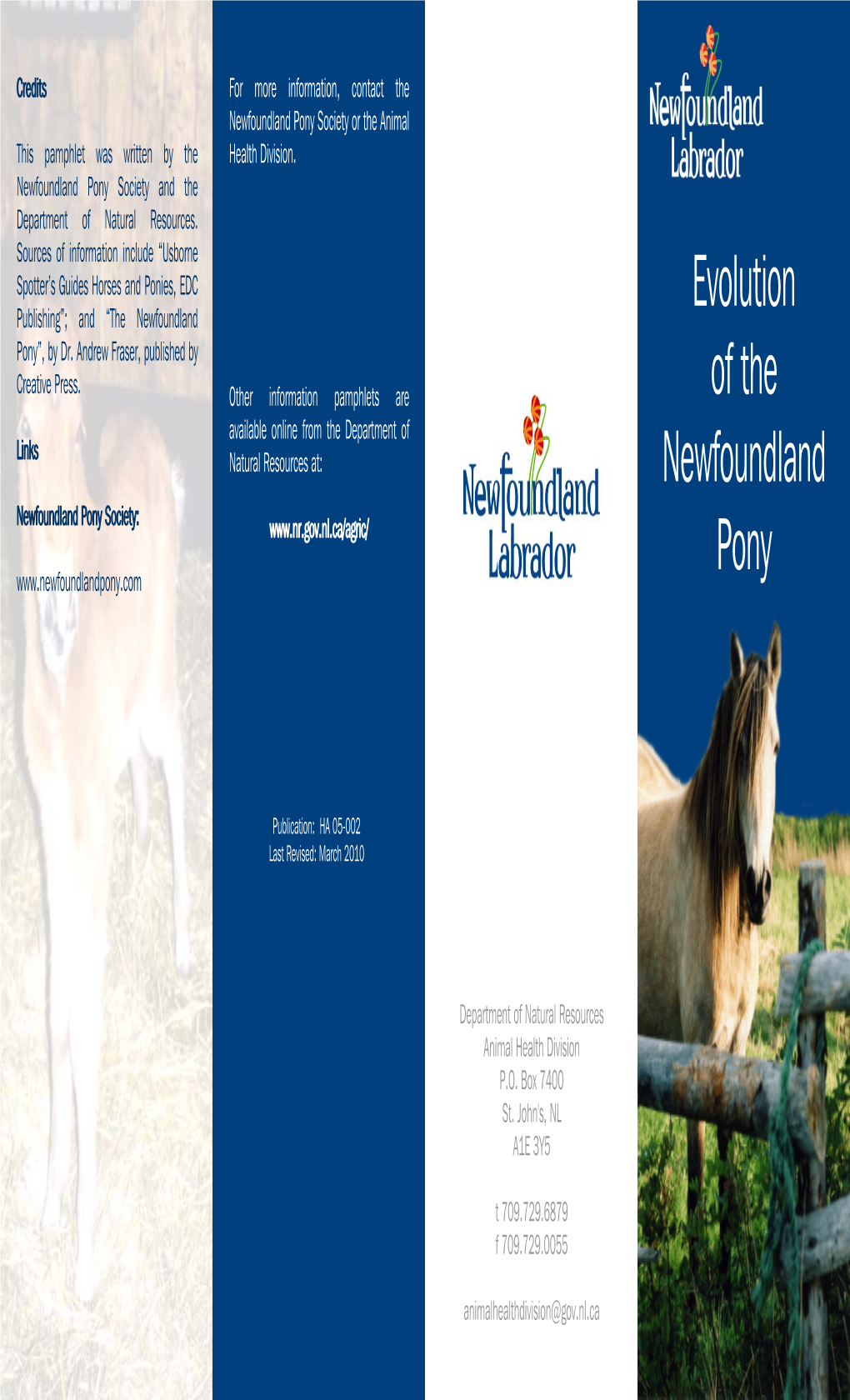Evolution of the Newfoundland Pony