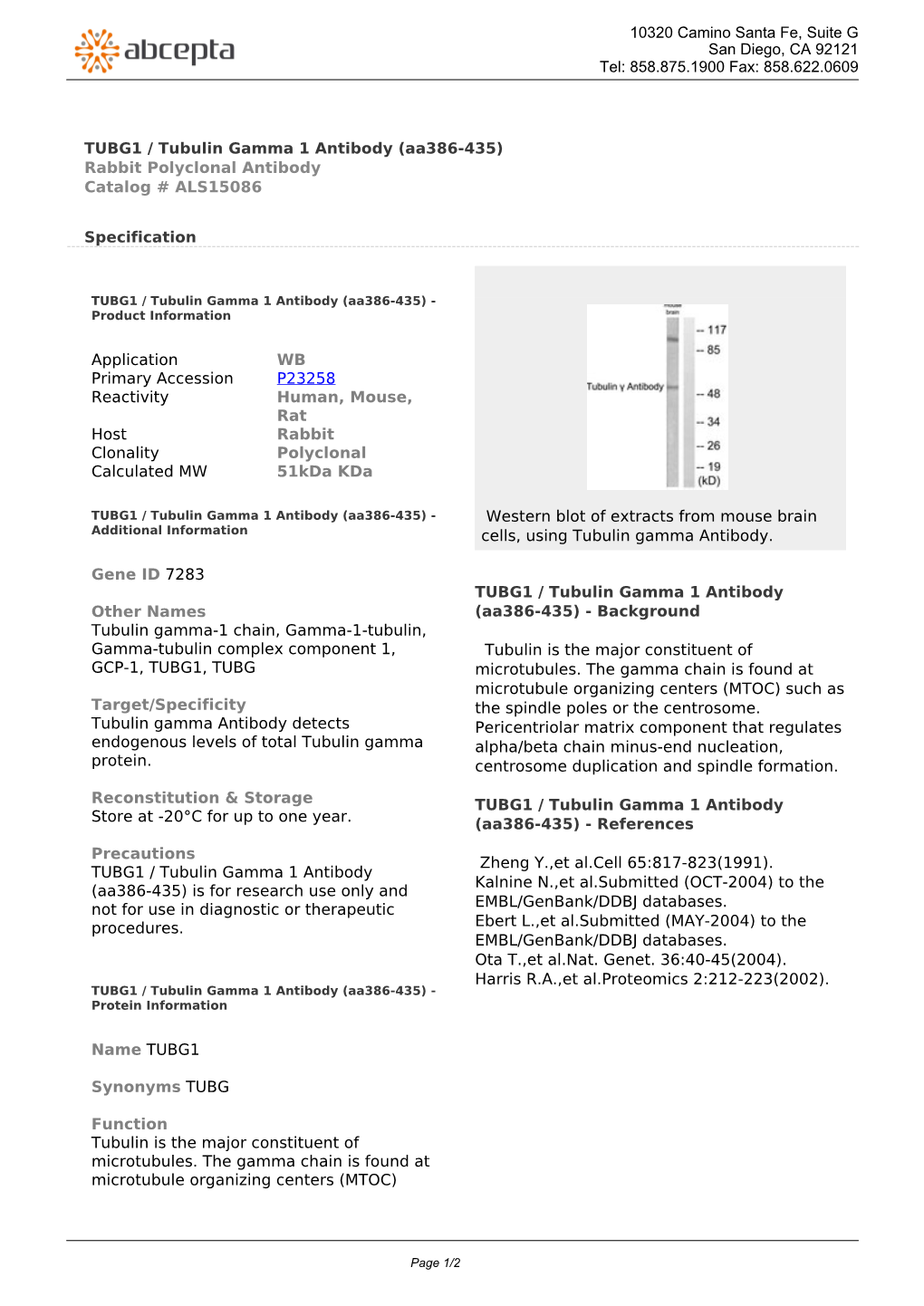 TUBG1 / Tubulin Gamma 1 Antibody (Aa386-435) Rabbit Polyclonal Antibody Catalog # ALS15086