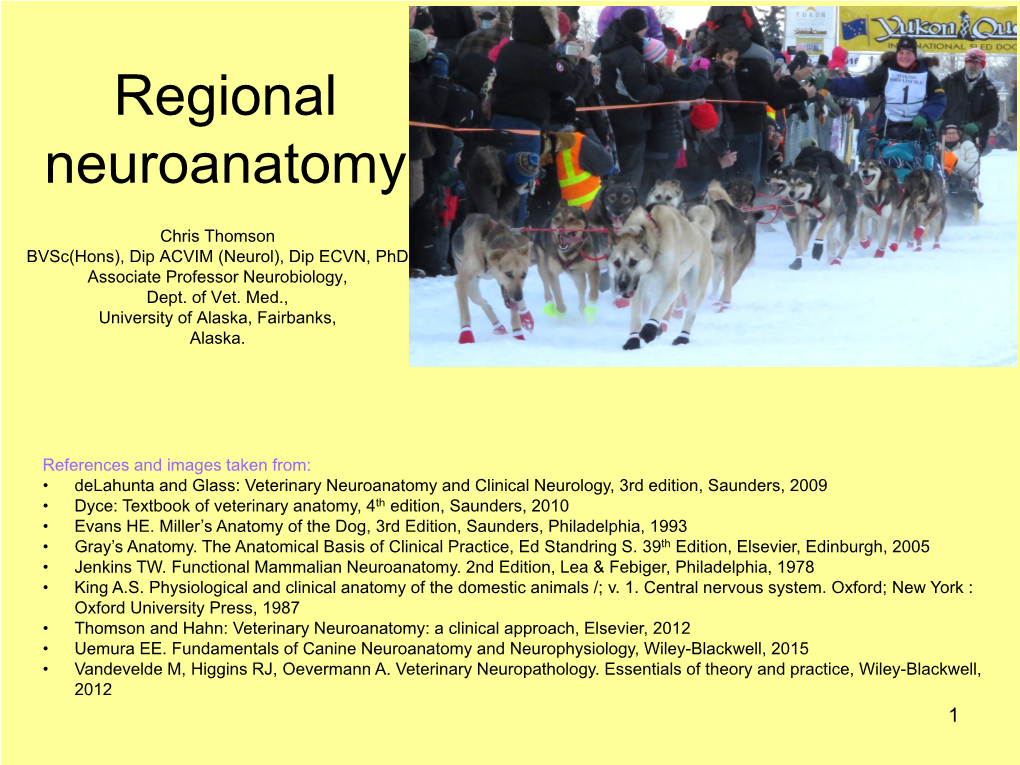 Functional Neuroanatomy of the Neurological Examination