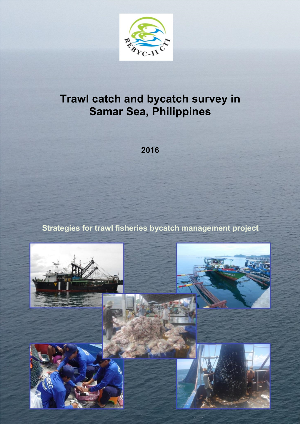 Trawl Catch and Bycatch Survey in Samar Sea, Philippines