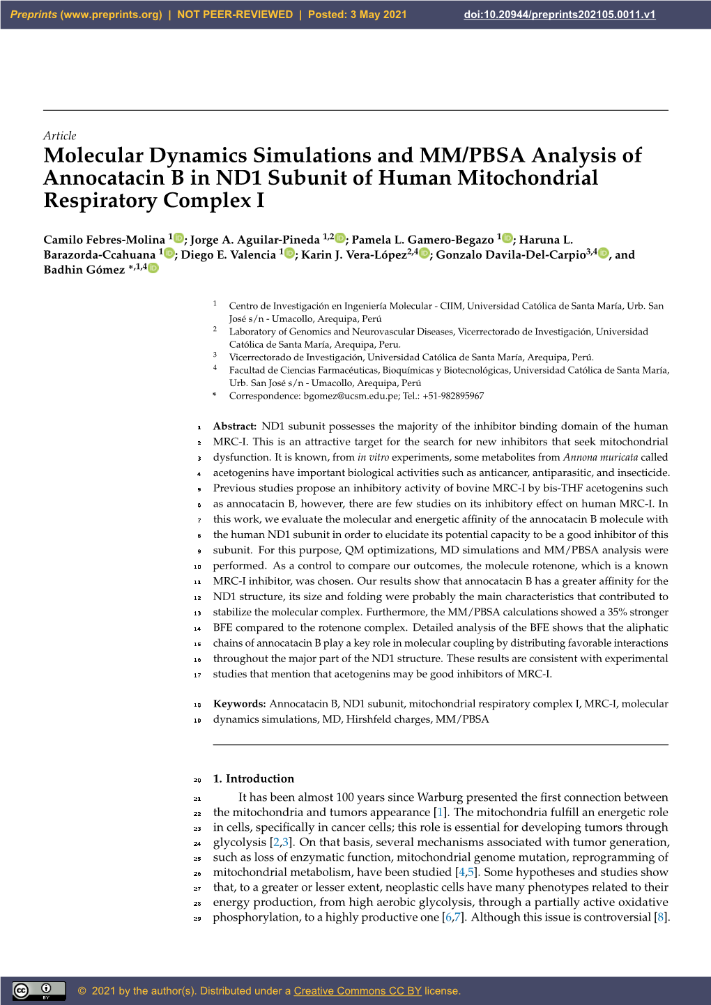 Molecular Dynamics Simulations and MM/PBSA Analysis of Annocatacin B in ND1 Subunit of Human Mitochondrial Respiratory Complex I