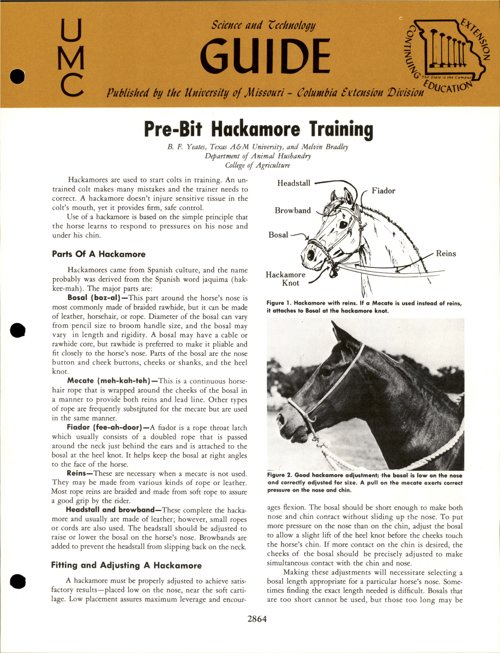 Pre-Bit Hackamore Training B