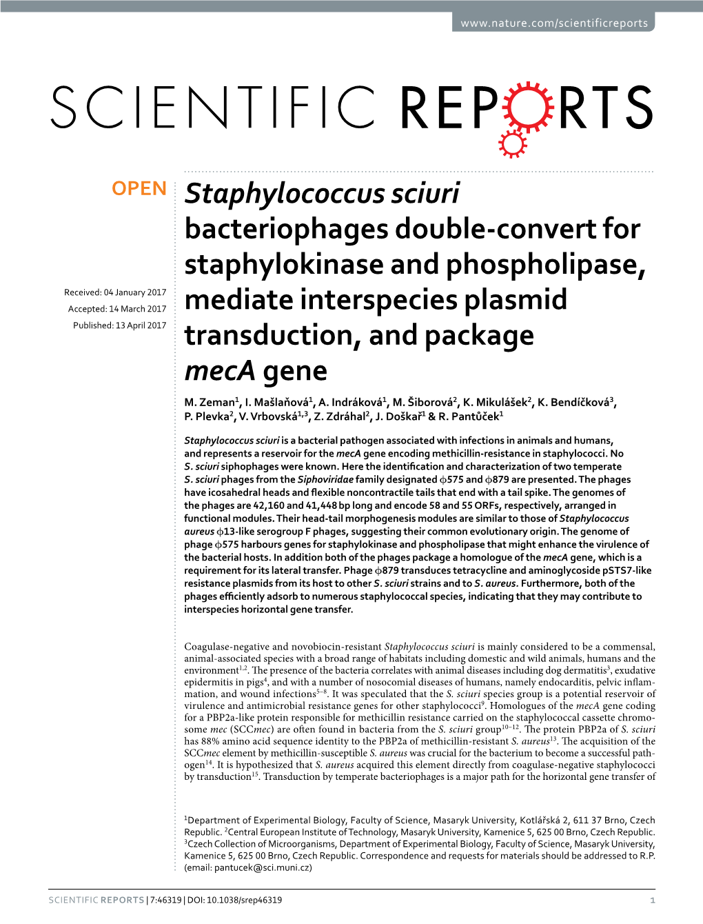 Staphylococcus Sciuri Bacteriophages Double-Convert for Staphylokinase