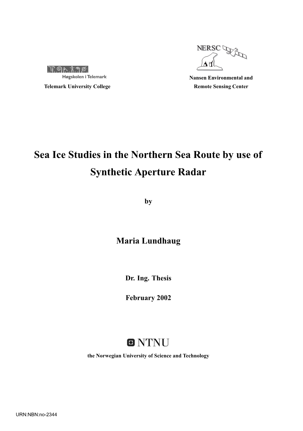 Sea Ice Studies in the Northern Sea Route by Use of Synthetic Aperture Radar