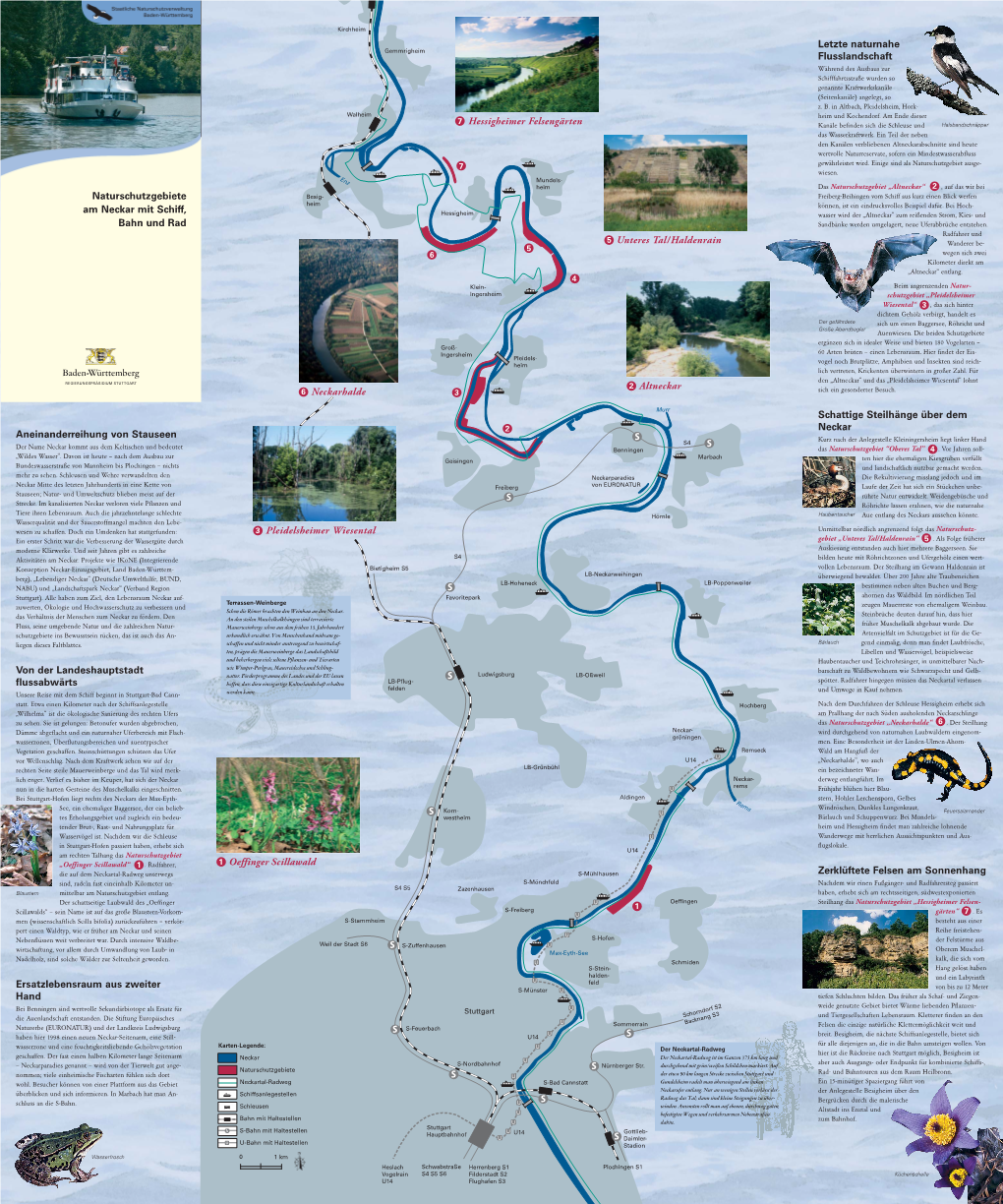 Naturschutzgebiete Am Neckar Mit Schiff, Bahn Und Rad Altneckar Neckarhalde Hessigheimer Felsengärten Unteres Tal/Haldenrain Pl