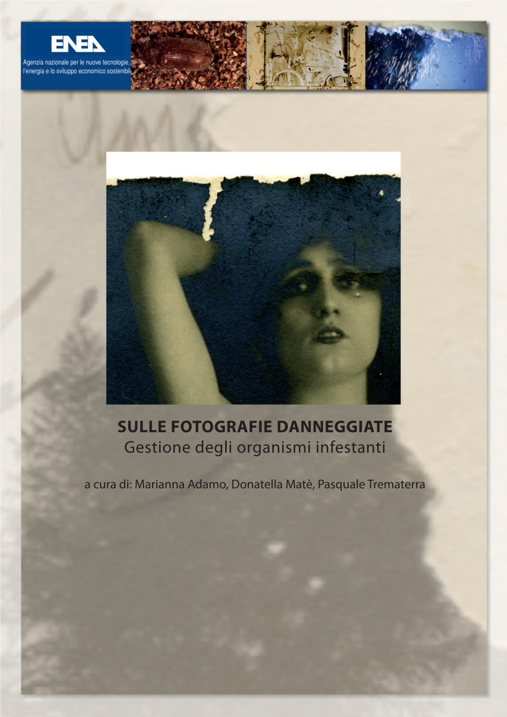 Sulle Fotografie Danneggiate