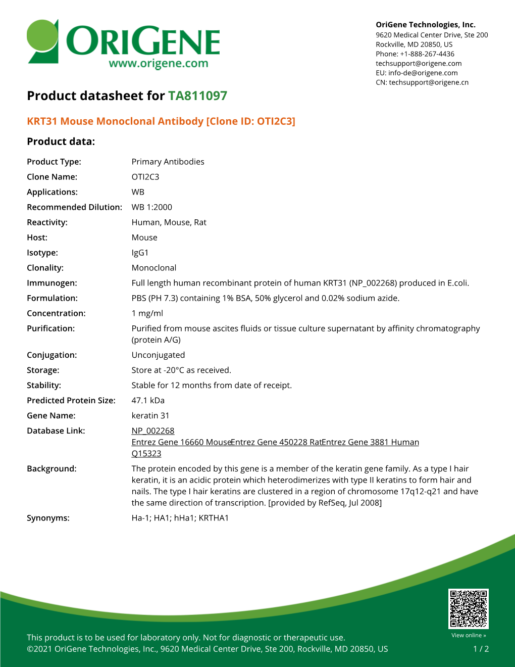KRT31 Mouse Monoclonal Antibody [Clone ID: OTI2C3] Product Data