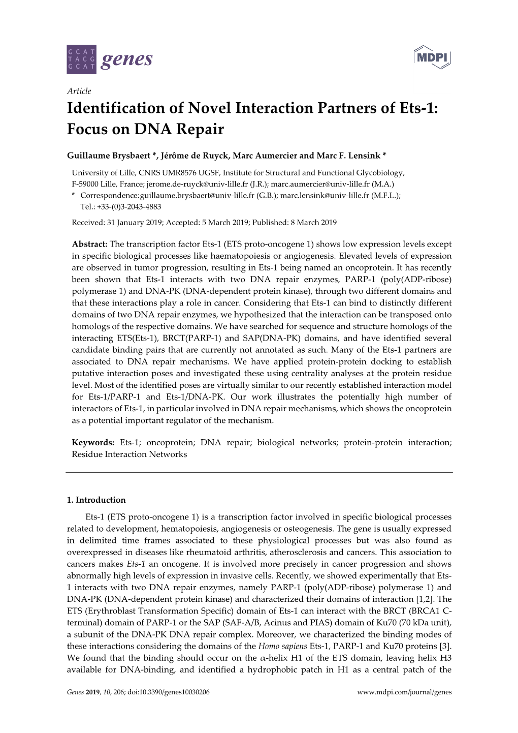 Identification of Novel Interaction Partners of Ets-1: Focus on DNA Repair