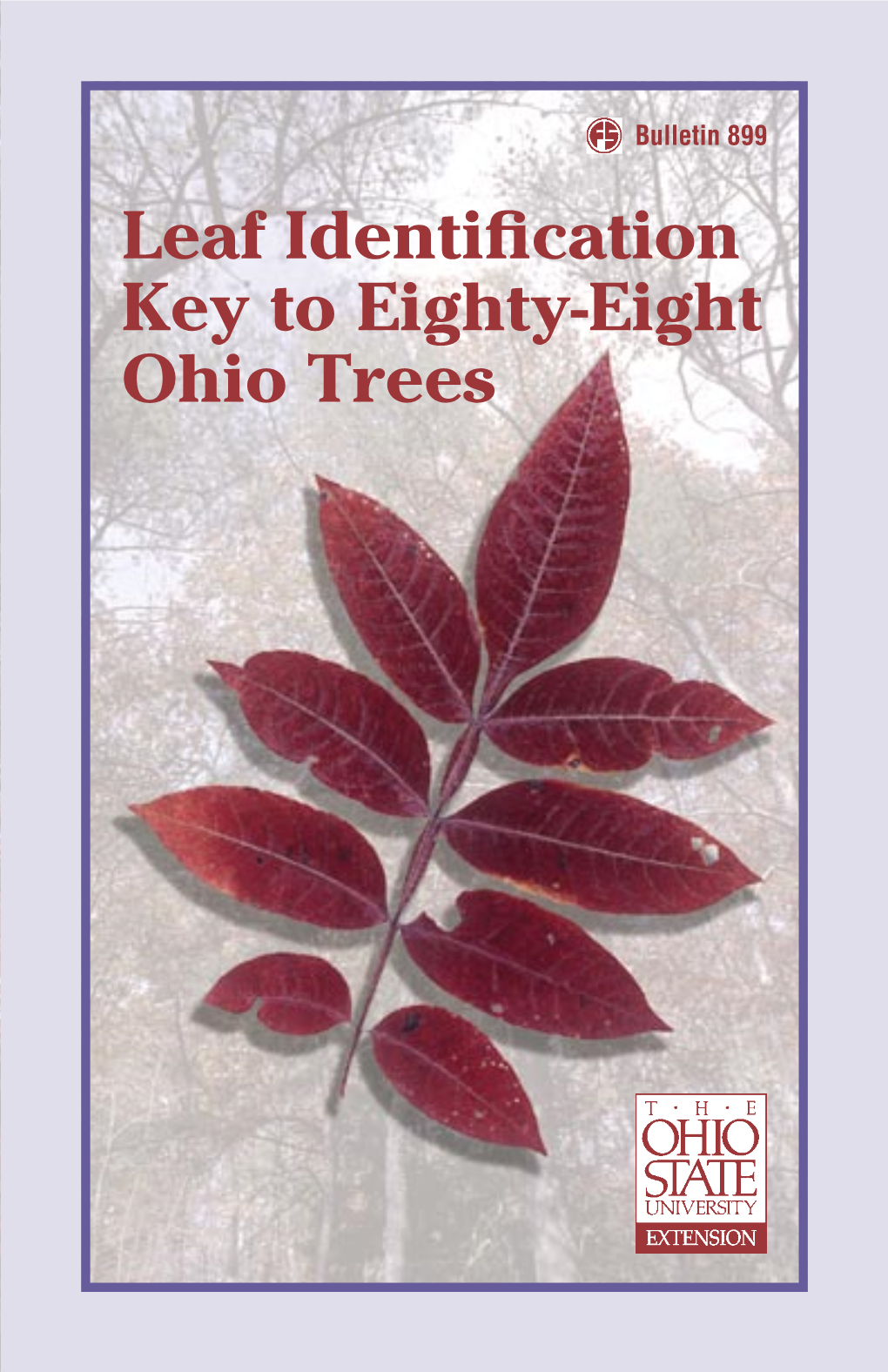 Leaf Identification Key to Eighty-Eight Ohio Trees