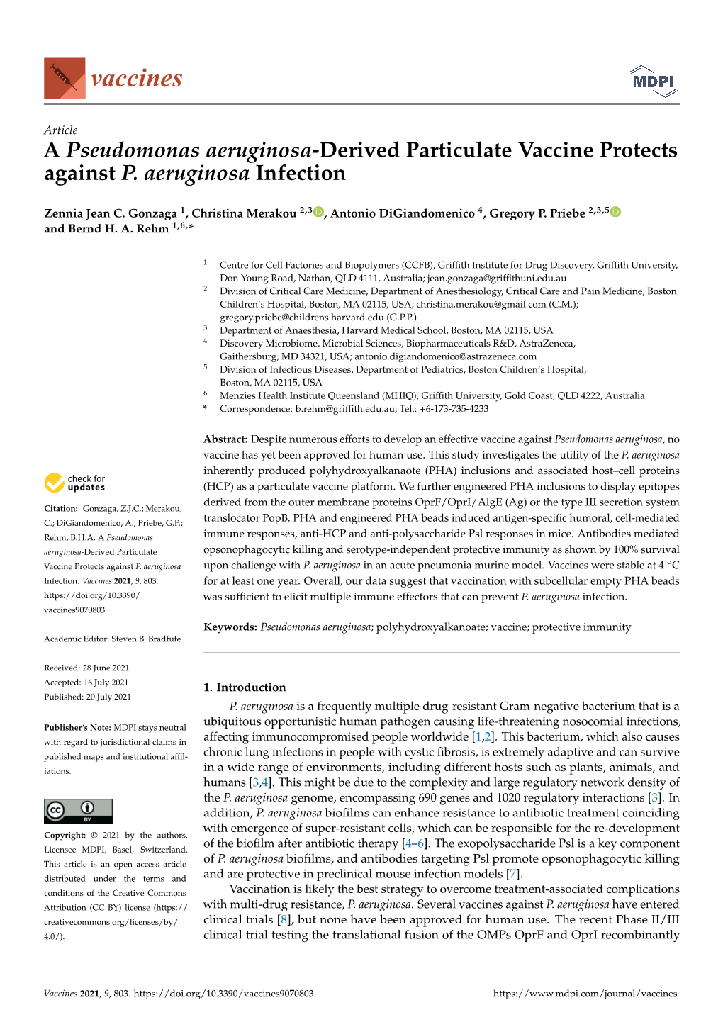 A Pseudomonas Aeruginosa-Derived Particulate Vaccine Protects Against P