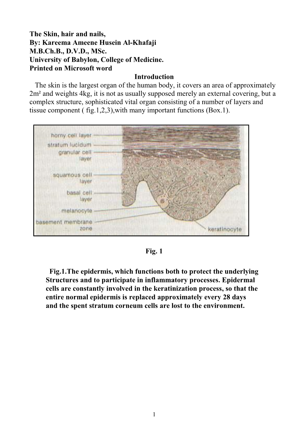 The Skin, Hair and Nails, By: Kareema Ameene Husein Al-Khafaji M.B.Ch.B., D.V.D., Msc
