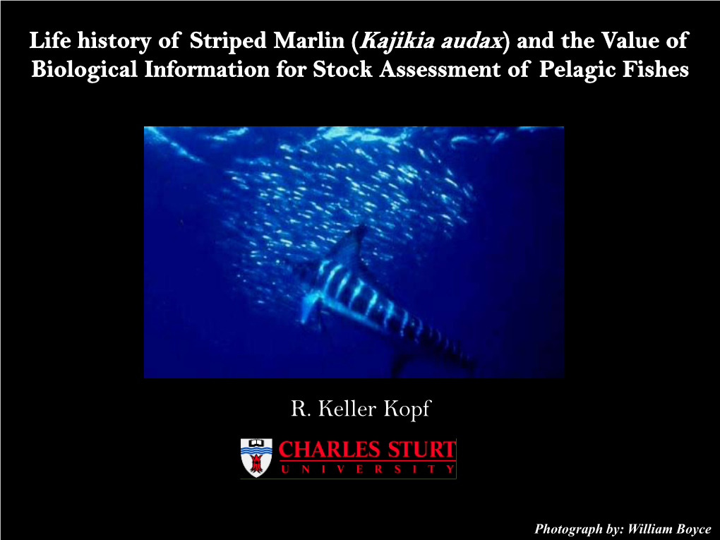 Age, Growth, and Reproductive Dynamics of Striped Marlin, Kajikia