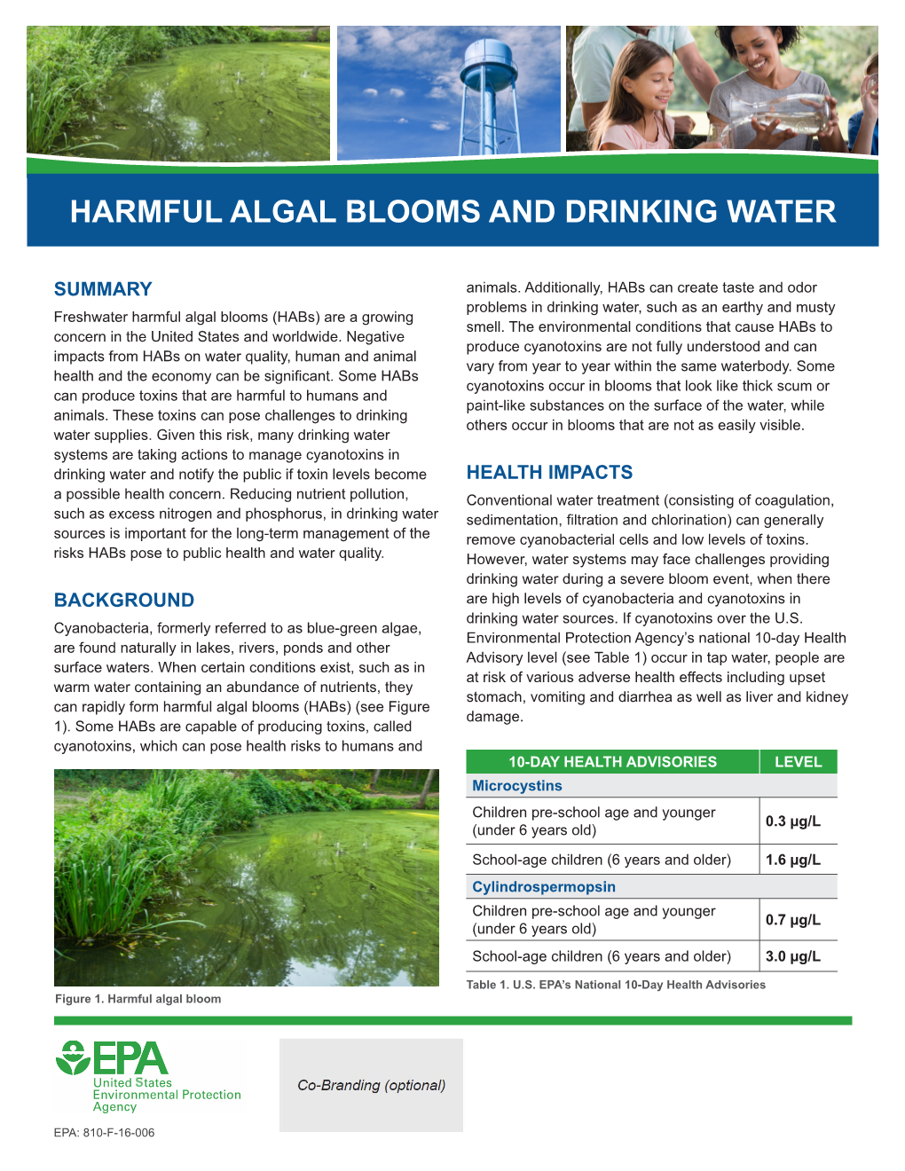 Harmful Algal Blooms and Drinking Water