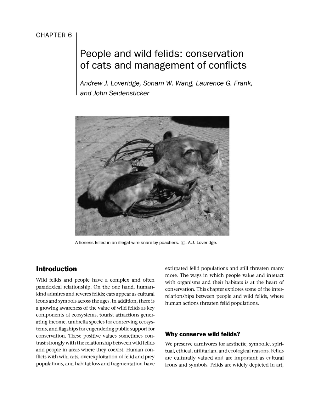 People and Wild Felids: Conservation of Cats and Management of Conflicts