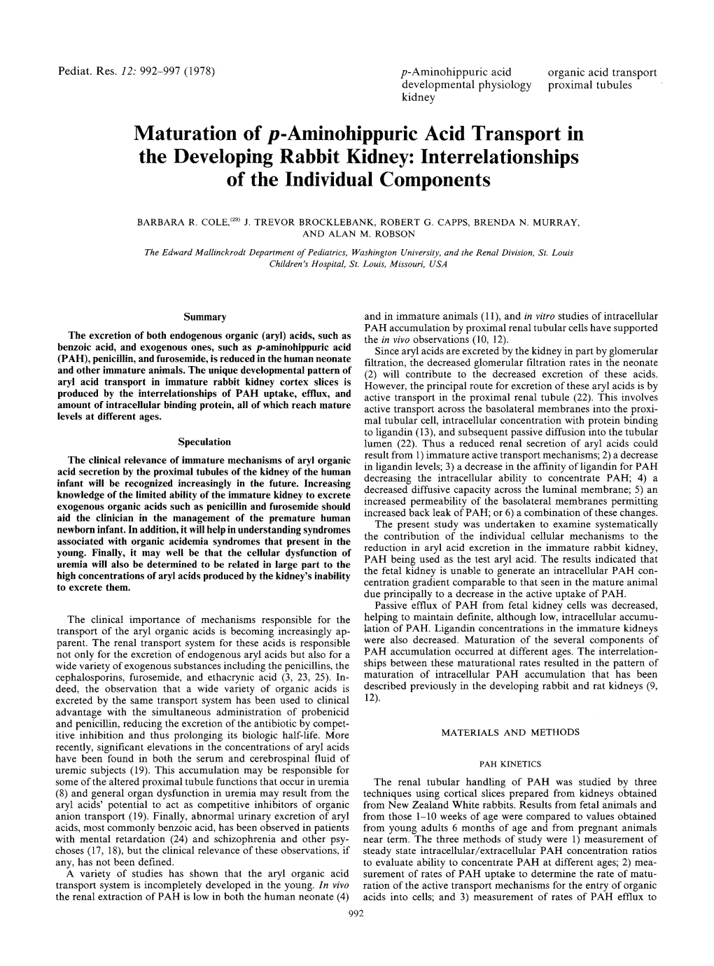 Maturation of P-Aminohippuric Acid Transport in the Developing Rabbit Kidney: Interrelationships of the Individual Components