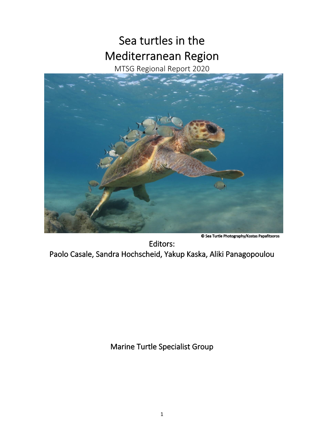 Sea Turtles in the Mediterranean Region MTSG Regional Report 2020