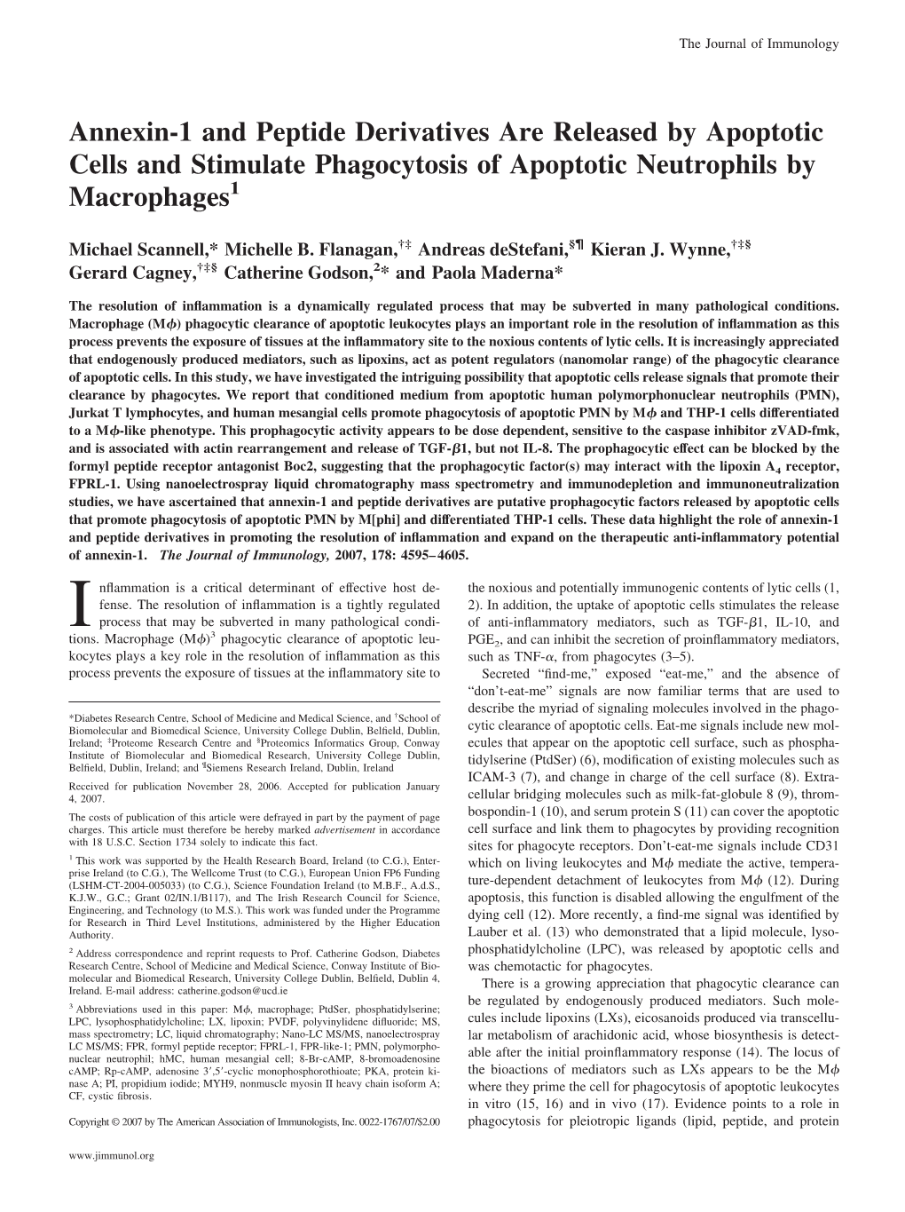 Annexin-1 and Peptide Derivatives Are Released by Apoptotic Cells and Stimulate Phagocytosis of Apoptotic Neutrophils by Macrophages1