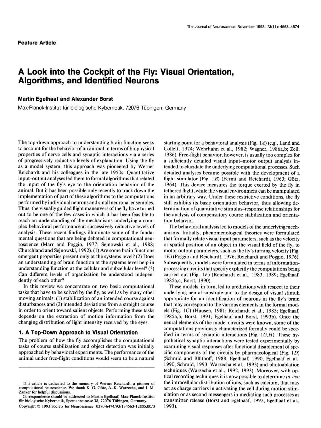 A Look Into the Cockpit of the Fly: Visual Orientation, Algorithms, and Identified Neurons