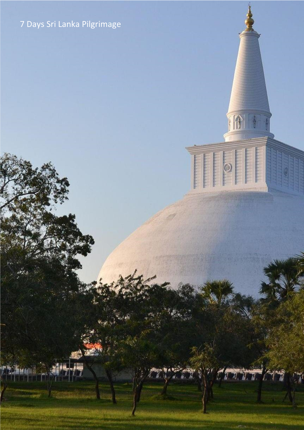 7 Days Sri Lanka Pilgrimage