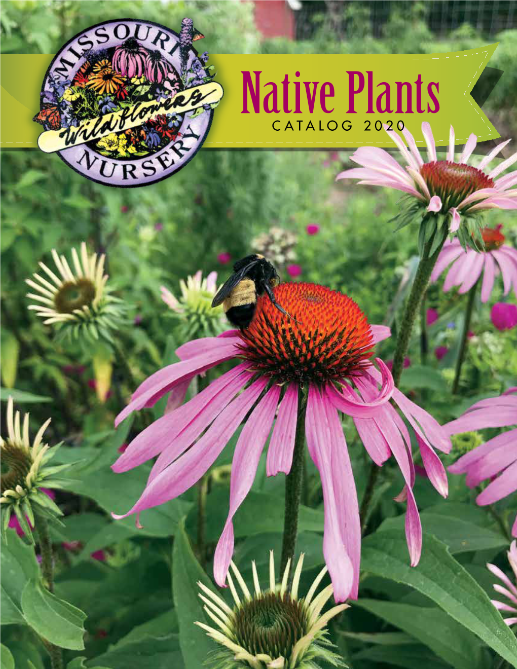 Native Plants