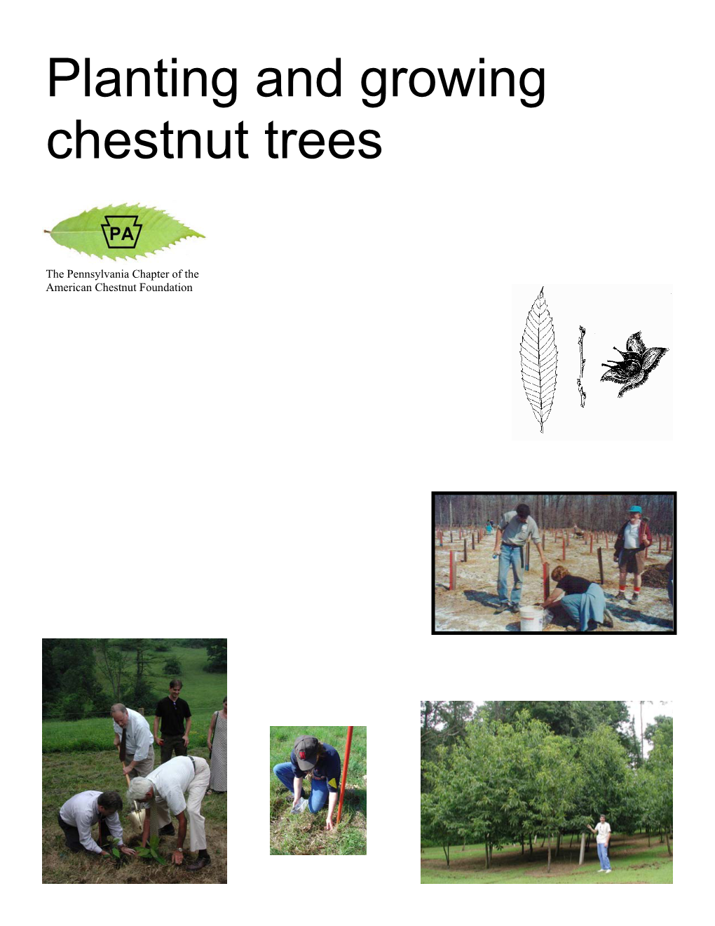 Planting and Growing Chestnut Trees